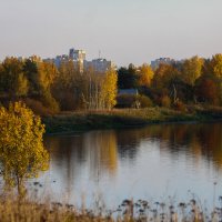 Осень на реке Тосна :: Денис Матвеев
