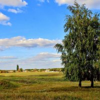 Хороший солнечный денёк. :: Восковых Анна Васильевна 