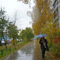 Осенний дождь со снегом :: Вера Щукина