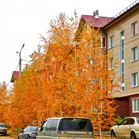 Золотая осень в городе :: Светлана 