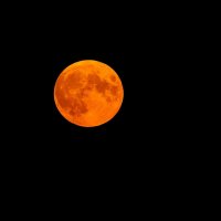 Красная луна :: Евгений Седов