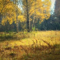 Золотая осень :: Горкун Ольга Николаевна 