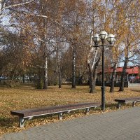 Парковые зоны вокруг Белого озера (Томск) :: Галина Кан