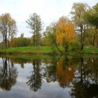 Царское Село. Александровский парк :: Наталья Герасимова