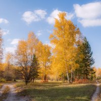 Все дороги лета ведут в сказочную осень :: Наталья Димова