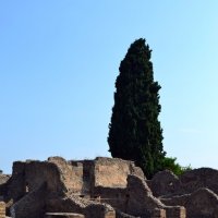 В развалинах Помпеи :: Ольга 