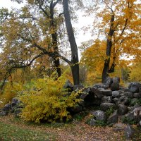 Царское Село. Александровский парк :: Наталья Герасимова