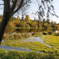 Осенний паводок :: Надежда Буранова 