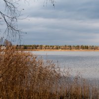 Октябрьские зарисовки. :: Вадим Басов