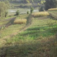 Сельские огороды в конце августа :: Vladius MK 