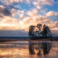 Крылья Ангела :: Алексей Румянцев