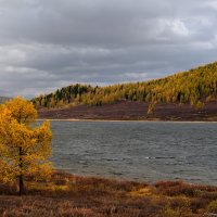 Хмурый день осени :: Алексей Мезенцев