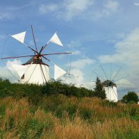 Интернациональный музей ветряных и водяных мельниц в городе Гифхорн (Германия, нижняя Саксония) :: Nina Yudicheva