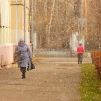 Первый снег... :: Владилен Панченко