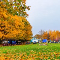 Осень в лагере Дружба :: Анатолий Клепешнёв