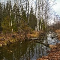 Здесь нет тропинок и дорог - далёк от мира уголок. :: Юрий Митенёв