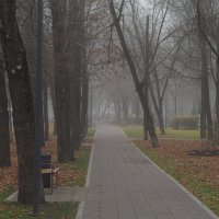 Туман в Городе :: юрий поляков