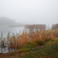 туман :: Владимир Зеленцов