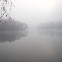 Осенний туман :: Сергей Мартьяхин