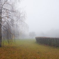 Туманная осень ... :: Лариса Корженевская