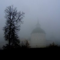 Туман. :: Николай Николаевич 
