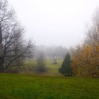 Белый туман ... :: Лариса Корженевская