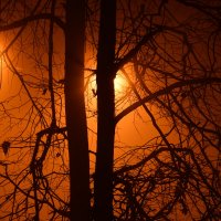 Туман и ночь :: андрей громов