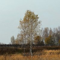 Осень :: Людмила Смородинская