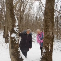Прогулка по зимнему лесу :: Алла Кузнецова