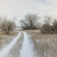 Зимняя дорожка,убегает в степь.... :: Андрей Хлопонин