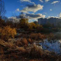 Пока пруд не встал :: Андрей Лукьянов