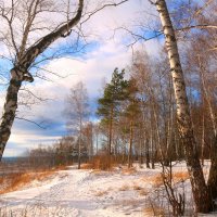 Зима на пороге :: владимир тимошенко 