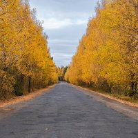 Осень и дорога. :: Валерий Смирнов