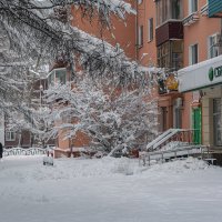 Зима в городе. :: Виктор Иванович Чернюк