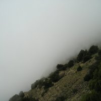 Туман :: Giant Tao /