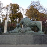 Визитки киевского зоопарка - фигуры зубра и львов - получили новую жизнь. :: Тамара Бедай 