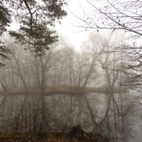 В осеннем тумане :: Андрей Снегерёв