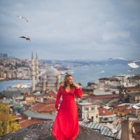 Стамбул. Крыша мира :: Ирина Лепнёва