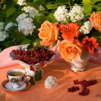 Розы и красная смородина :: Ольга Бекетова
