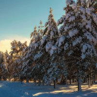 По сказочной аллее к Амуру. :: Виктор Иванович Чернюк