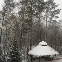 Снегопад. :: ОКСАНА ЮРЬЕВНА ШВЕЦ