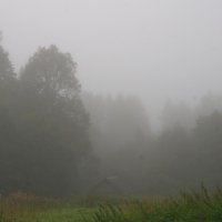 Август...туман... :: Юрий Куликов