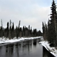 Тиньга — река в Холмогорском районе Архангельской области России. :: ЛЮДМИЛА 