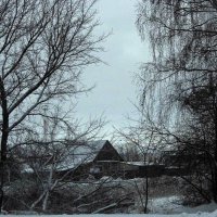 Снег пришел :: Юлия Денискина