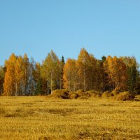 Осень золотая. :: nadyasilyuk Вознюк