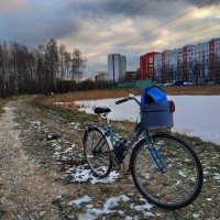 История одной вело-фото-сессии. Мои пруды встали; зима что-ли? :: Андрей Лукьянов