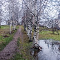 Берёзовая аллея к Сергиевской церкви. :: веселов михаил 