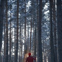Lumberjack :: Александра Кожухова