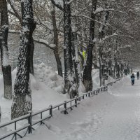 Зима в Комсомольске-на-Амуре. :: Виктор Иванович Чернюк