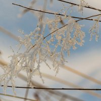 Зимние кружева. :: Виктор Иванович Чернюк